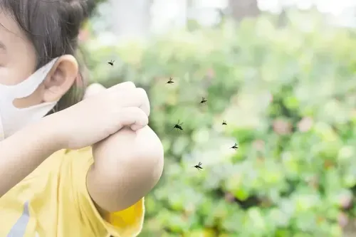Difference Between Malaria and Dengue Symptoms
